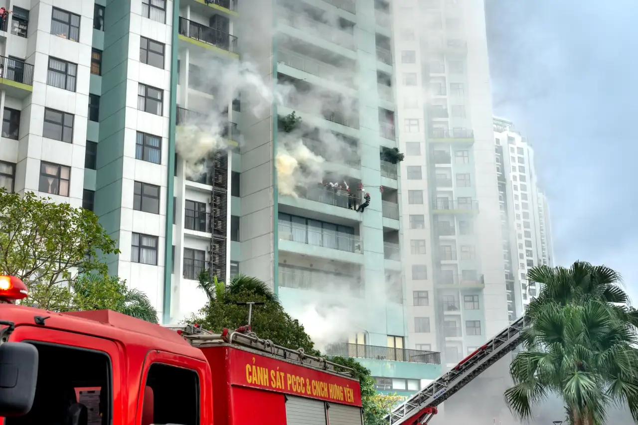 大连地区农业合作社农产品选购指南：2024年优质产品推荐
