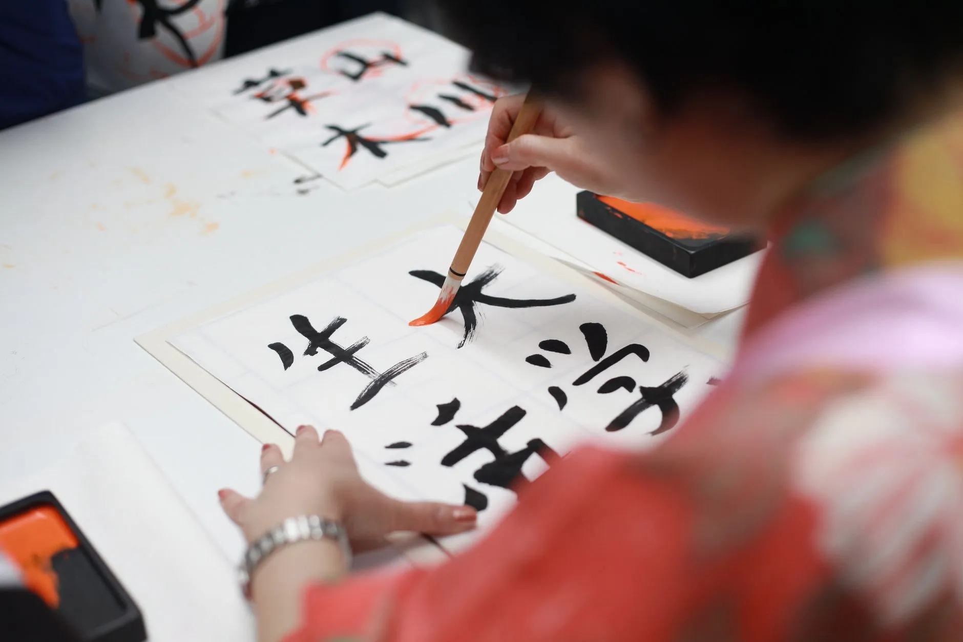 大连台发农业合作社优质农产品品种分类与特性解析