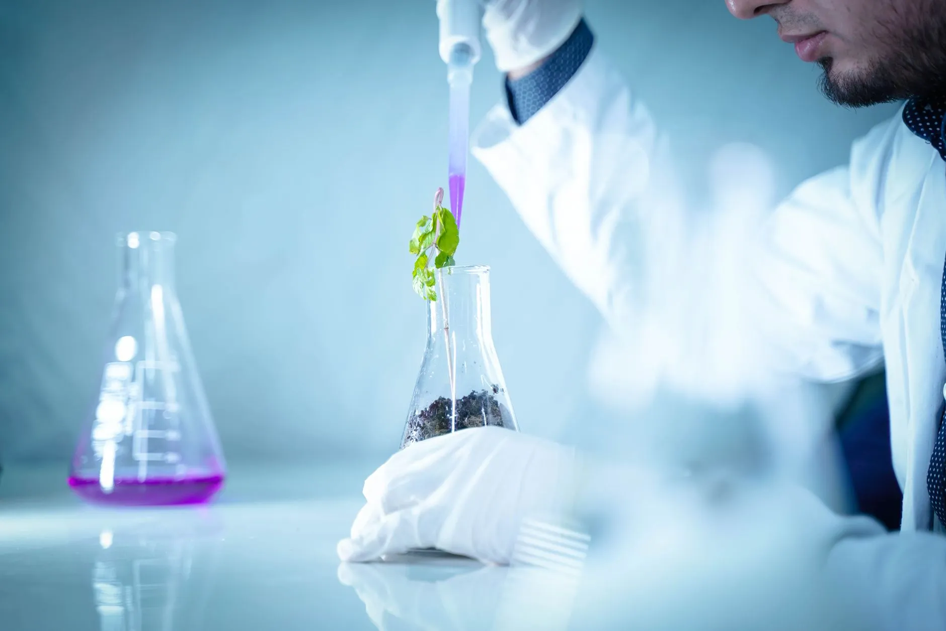 大连台发农业合作社玉米与大豆种植方案对比分析