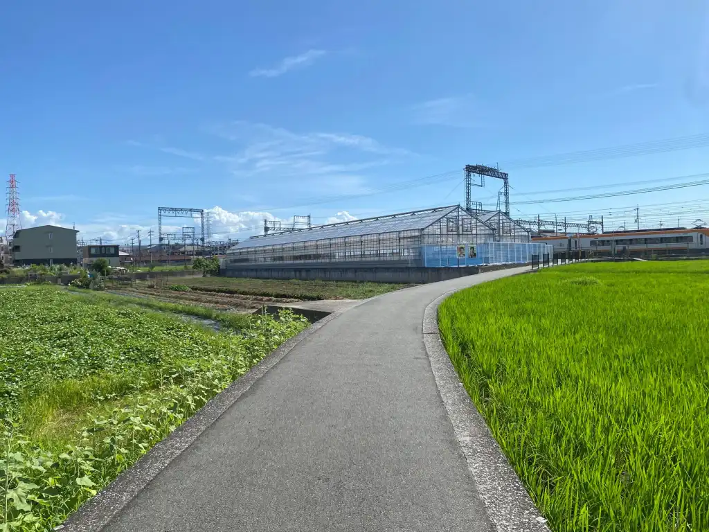 大连地区农业合作社绿色种植技术应用与推广分析正文配图 1