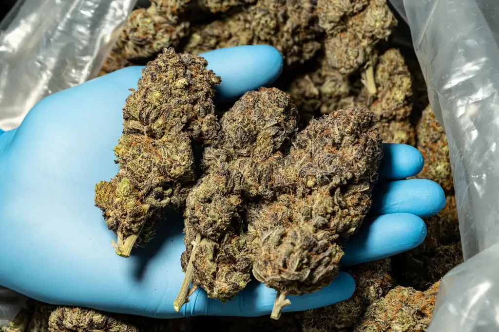 大连农业合作社农产品对比：台发农业与其他种植模式的差异分析正文配图 2