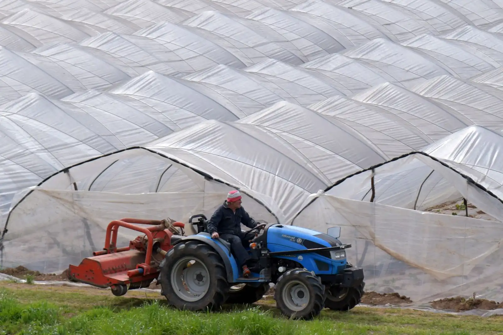 大连地区农业合作社种植技术升级与品质管控实践分析正文配图 1