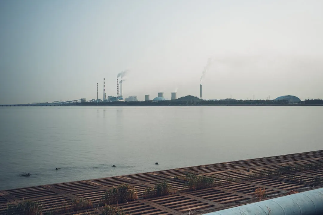 大连农业合作社种植技术升级:台发农业解析土壤改良与绿色防控要点