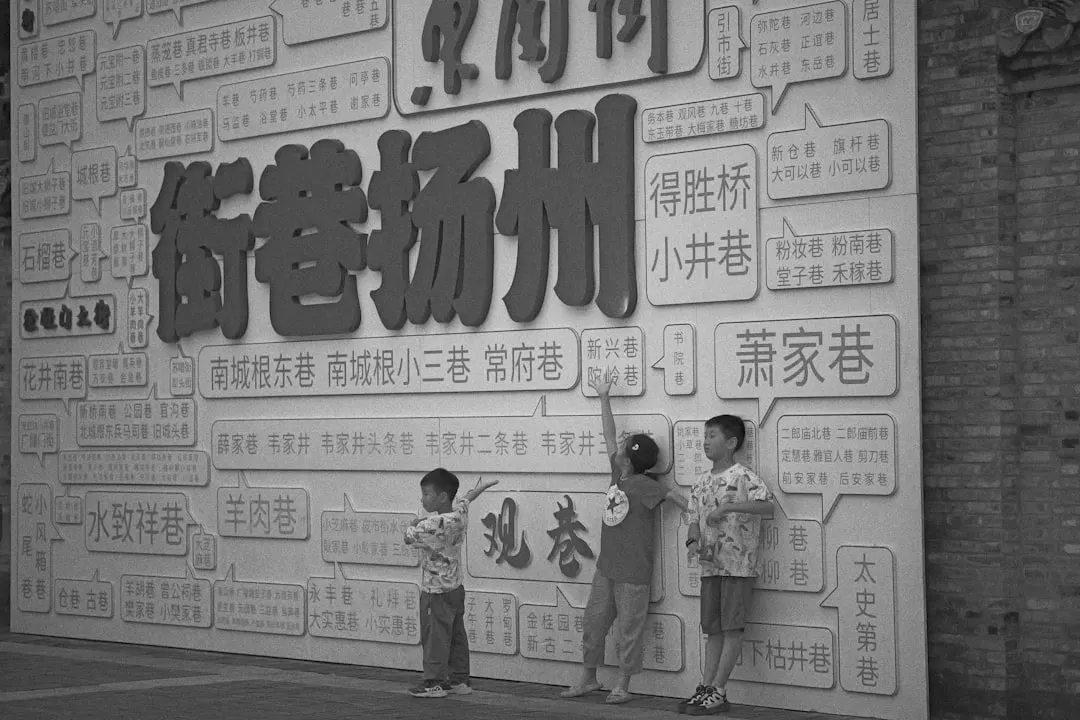 辽宁农产品供应链优化：合作社产销对接实践探讨